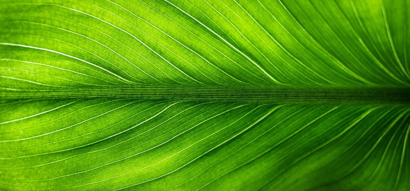Eco-friendly design